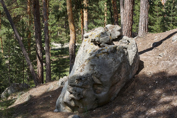 Fototapeta na wymiar Stones in the forest