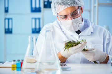 Biotechnology concept with scientist in lab