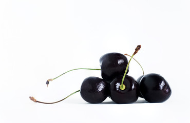 Black cherry on white background