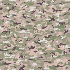 Seamless camouflage military cloth of infantry. Abstract background. Vector illustration - 170213364