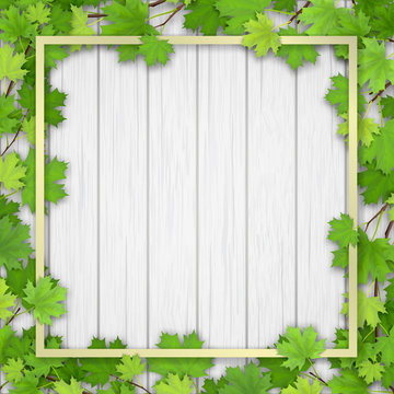 Square frame, overgrown maple tree branches with green leaves on white wooden background. Blank for advertising card or invitation.