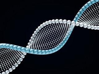 Close up of a diagonal DNA chain against a black background. 3D rendering