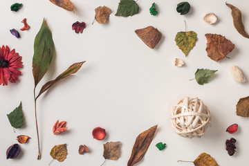 Creative autumn composition of fallen leaves, dry petals, dried flowers and plants, simple rustic branches with copy space for text from top. White background. Autumn frame. Top view. Flat lay.