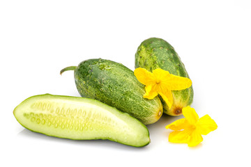 Cucumber