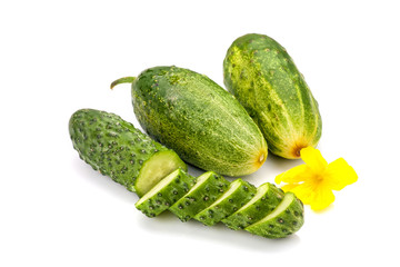 Cucumber