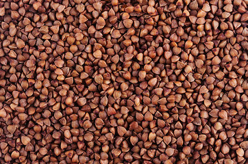 Brown buckwheat  background. Top view, closeup.