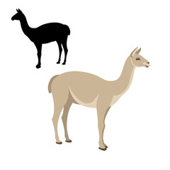 lama vector illustration style flat black silhouette