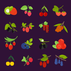 Set Vector Illustration of Berries