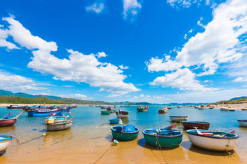 round fishing boats by the shore, Vietnam