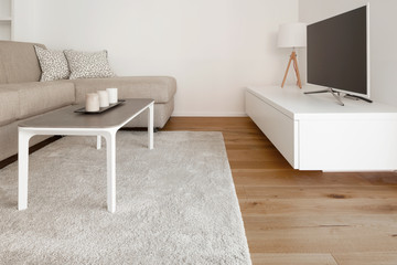 Lateral view of a minimal living