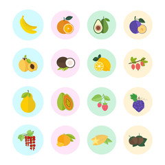 Set Vector Illustration of Berries and Fruits