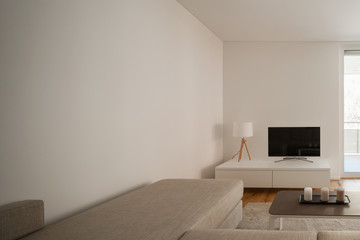 Lateral view of a minimal living