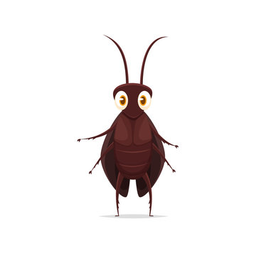 Cartoon cockroach vector isolated illustration