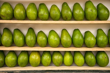 avocado on shelf