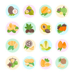 Set Vector Flat Icons of Nuts