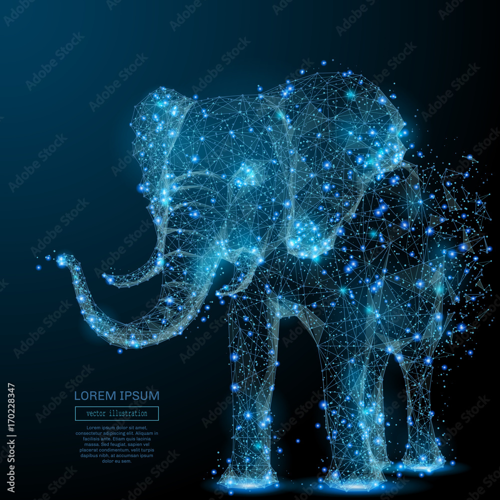Aufkleber Elephant isolated from low poly wireframe on dark background. Vector polygonal image in the form of a starry sky or space, consisting of points, lines, and shapes in the form of stars and the universe