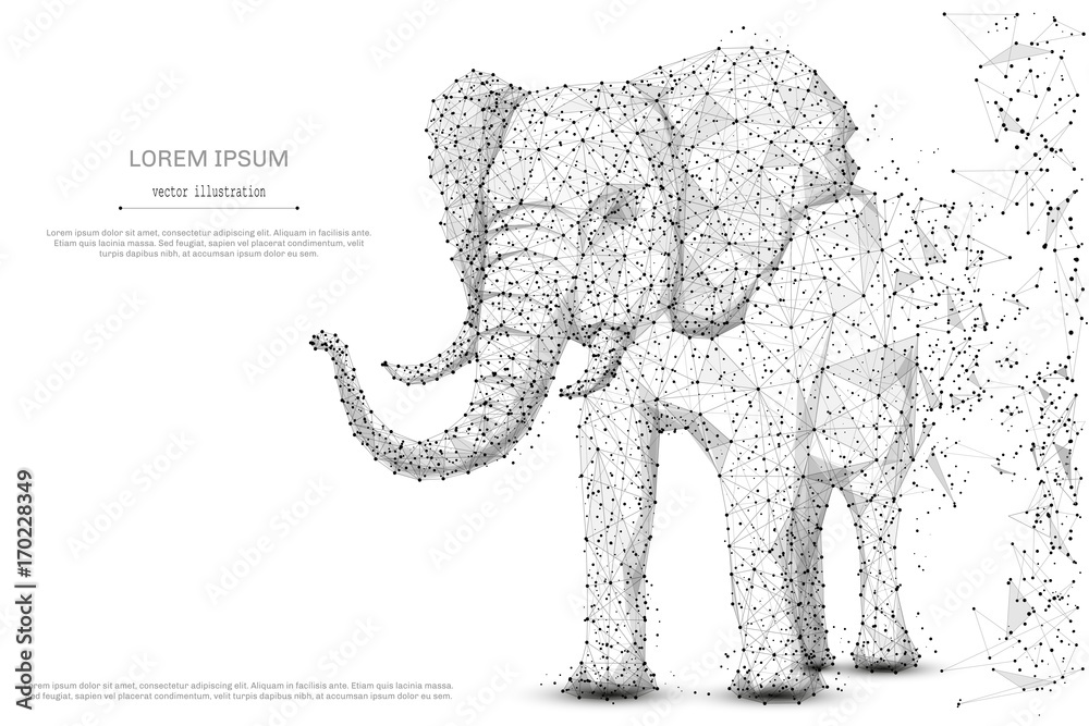 Poster Elephant isolated from low poly wireframe on white background. African and indian animal. Vector abstract polygonal image mash line and point hands collect puzzle with an inscription. Digital graphics