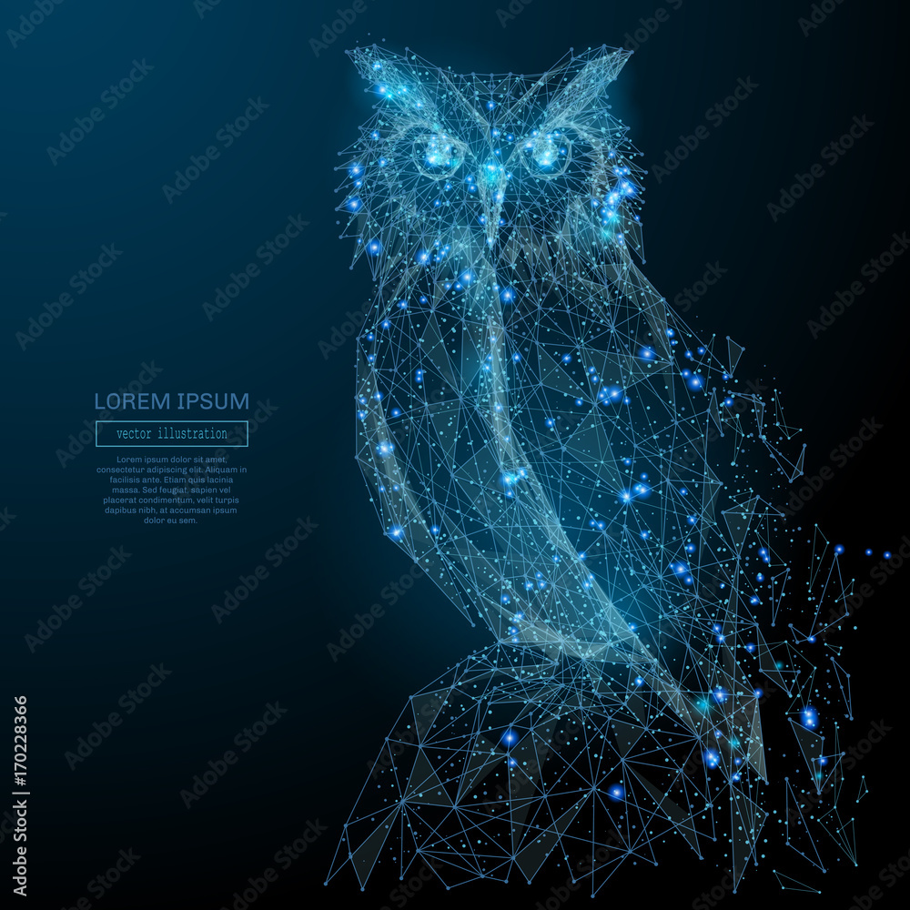 Poster Owl isolated from low poly wireframe on dark background. Wild bird of prey. Vector polygonal image in the form of a starry sky or space, consisting of points, lines, and shapes in the form of stars