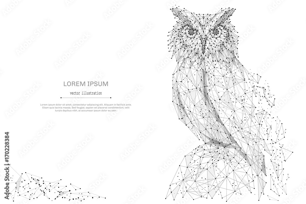 Poster Owl isolated from low poly wireframe on white background. Wild bird of prey. Vector abstract polygonal image mash line and point hands collect puzzle with an inscription. Digital graphics