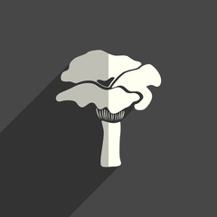 Mushrooms flat icons with of shadow. Vector illustration