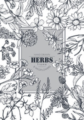 Vector frame with herb and wildflower elements © natality