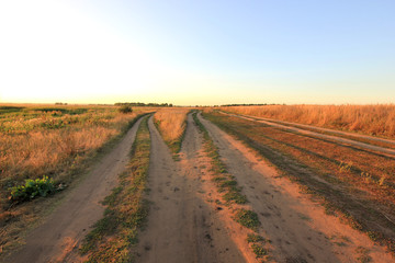 Fototapeta na wymiar road in field at dawn