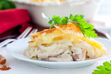 Baked potato with pork, onion, sprinkled with paprika, horizontal