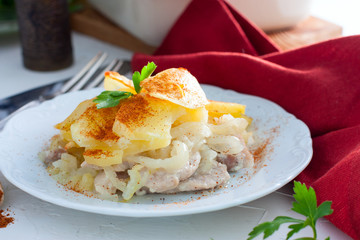 Baked potato with pork, onion, sprinkled with paprika, horizontal