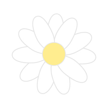 Daisy flower illustration vector. White background.