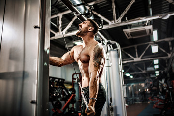 Muscular bearded man working out in gym doing exercises at triceps.