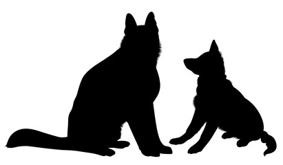 Shepherd Dogs. German Shepherd dog breed vector 