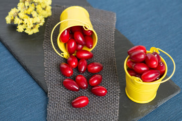 Berries of dogwood in small colored buckets