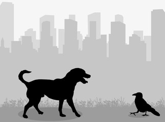 vector, isolated silhouette dog and crow