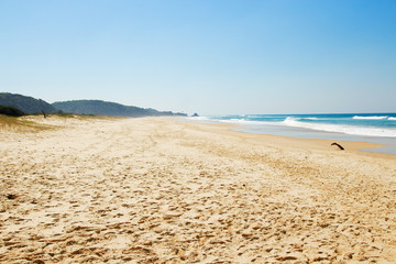 Fototapeta na wymiar Beautiful Australian beach on the Pacific Ocean