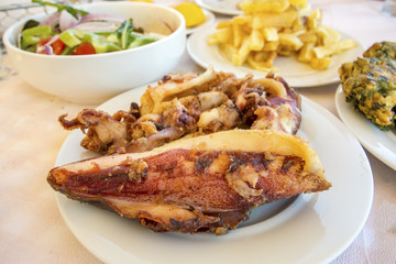 Deniz Mahsulleri; Kalamar