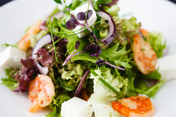 Greek salad with shrimp
