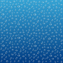 Transparent and realistic water droplets on a blue background.