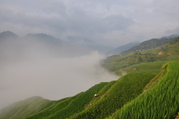 Obraz premium bench terrace in the pride of the morning 