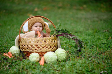 Cute little baby boy in suit of rabbit sitting on the grass in basket with cabbage and carrot. Nature park background	