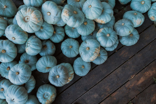 blue pumpkins on wood background