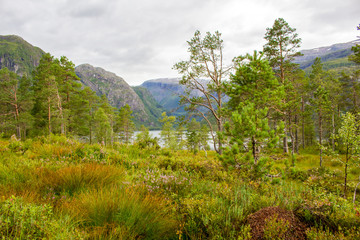 Fototapeta na wymiar Norway landscape with mountain lake im summer time.