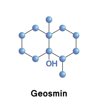 Geosmin Is An Organic Compound