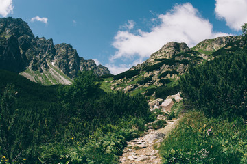 Fototapeta na wymiar Mountain landscape. Narrow path towards the summit.