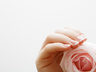 Soft selective focus. Beauty nail care. Delicate hands with french manicure holding a pink petals...