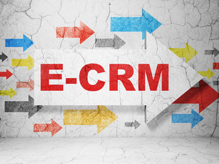 Finance concept: arrow with E-CRM on grunge wall background