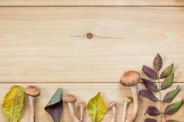 fresh Edible mushrooms and autumn leaves lying on wooden background. top view copy space.