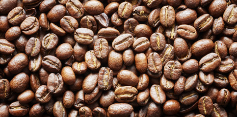 Fototapeta premium Roasted coffee beans, natural food panoramic background.