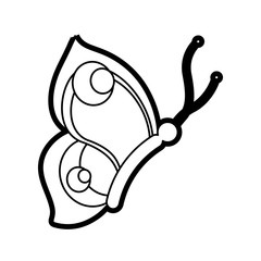 Butterfly of insect animal and nature theme Isolated design Vector illustration