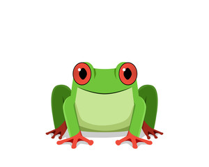 Red eye frog, Front view, vector