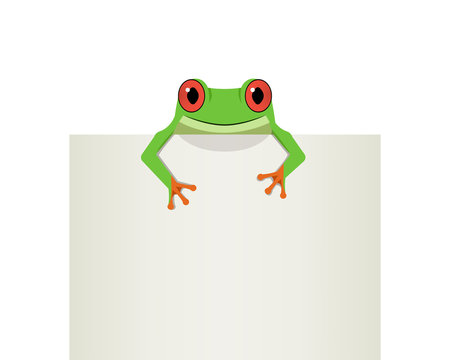 Red eye frog on top white paper, vector